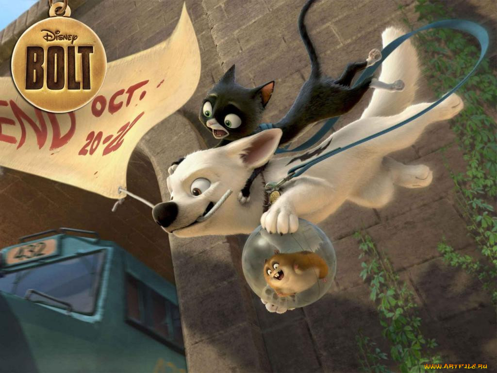 , bolt